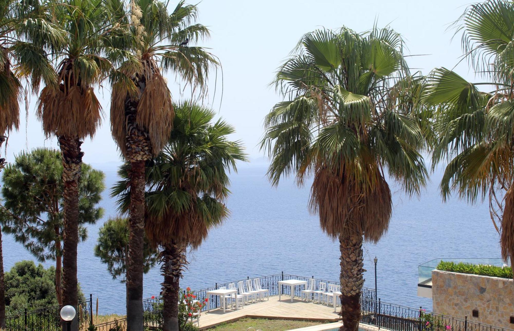 Datca Villa Carla Hotel Rum bild