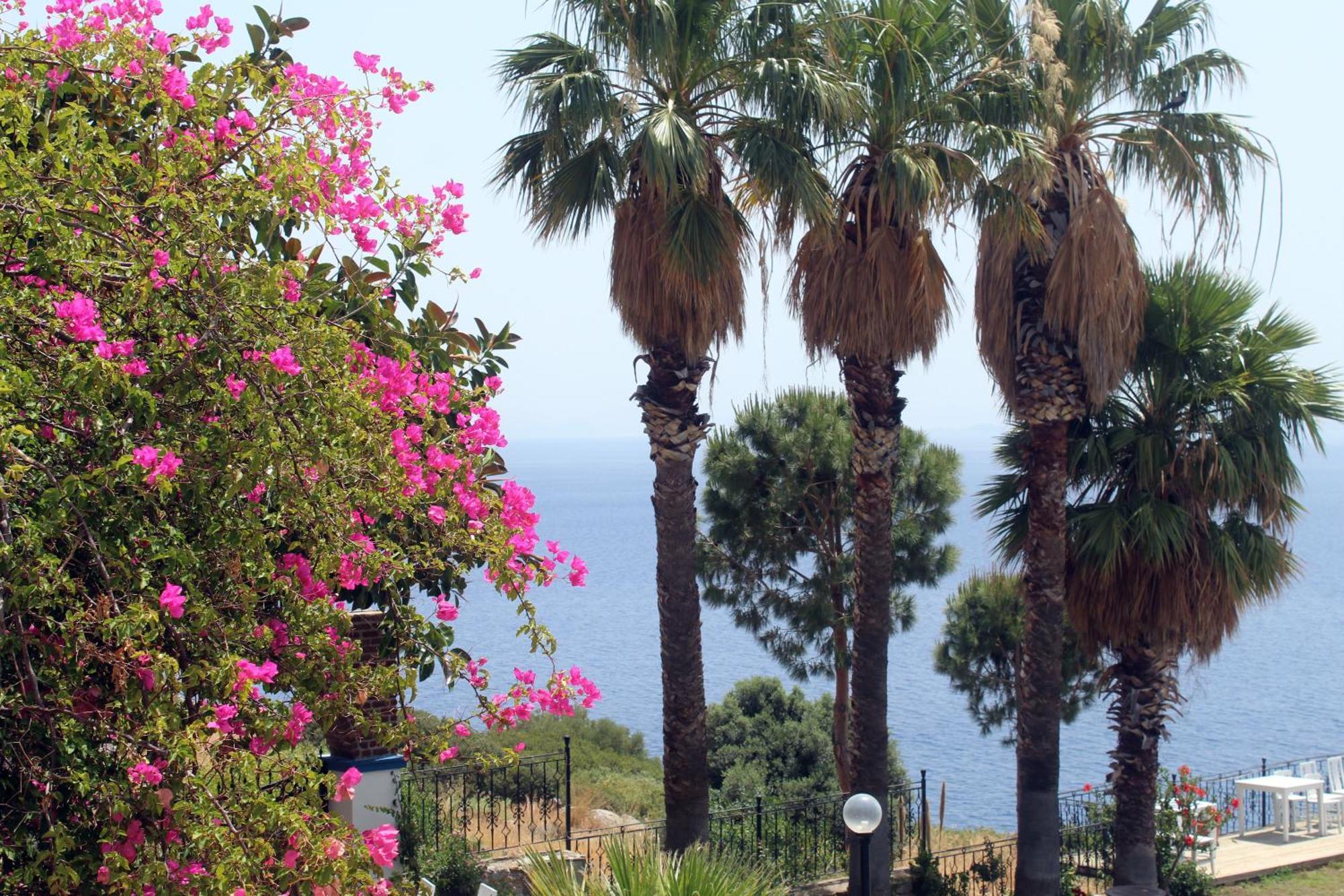 Datca Villa Carla Hotel Rum bild
